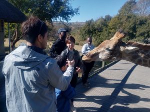 Lion Park and Safari