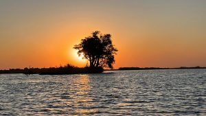 Kruger National Park