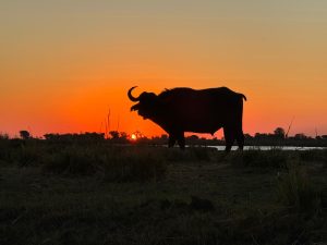 Kruger National Park