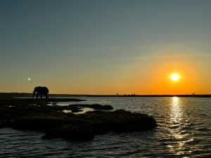 Kruger National Park