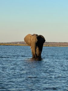 Kruger National Park