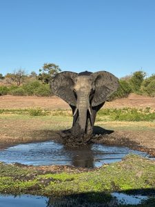 Kruger National Park