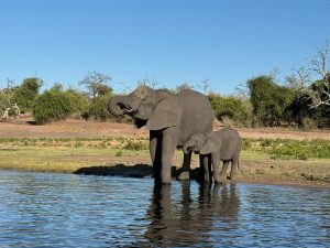 Kruger National Park